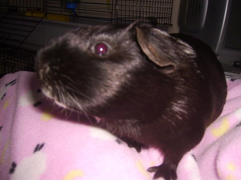 PICT0266.jpg