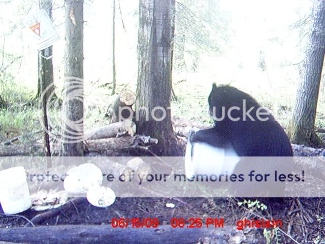 avez vous hate a la chasse a l'ours et moi oui MDGC0025-1