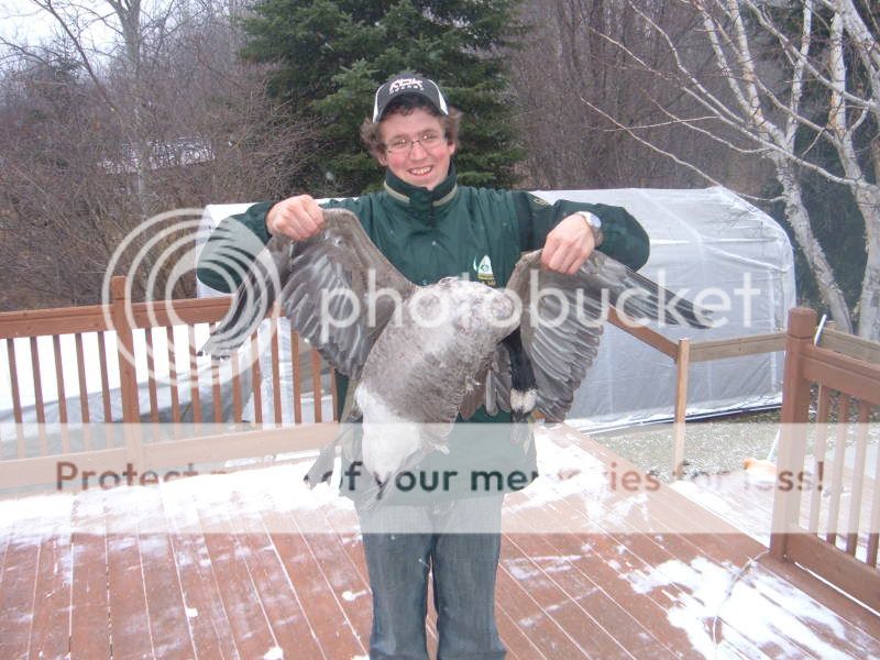 quelque photo de chasse 2008 Chasse200802345-3