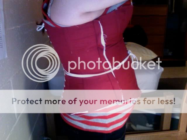 corset( finished) Photo638