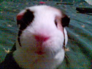 Picture82.jpg
