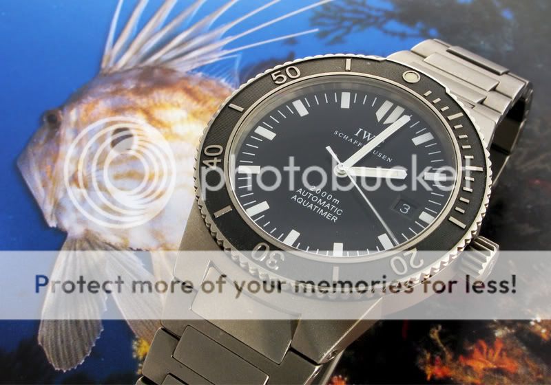 Votre montre préférée du moment... 3536web3kopia