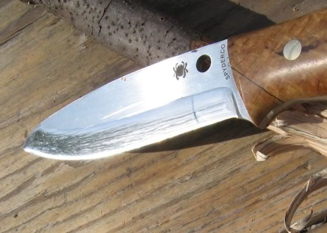 Modified Spyderco Bushcraft | Bushcraft USA Forums