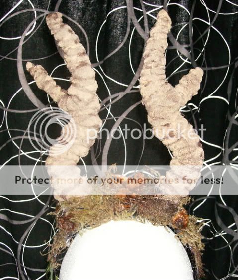 Antlers! Picture165