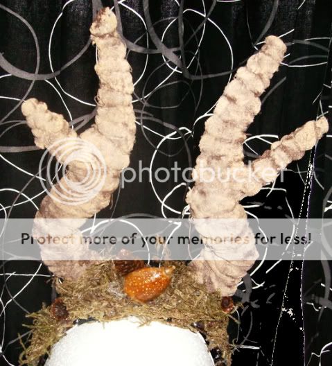 Antlers! Picture168