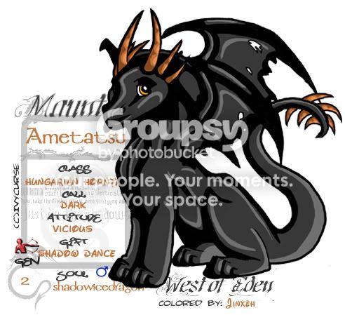 User Image