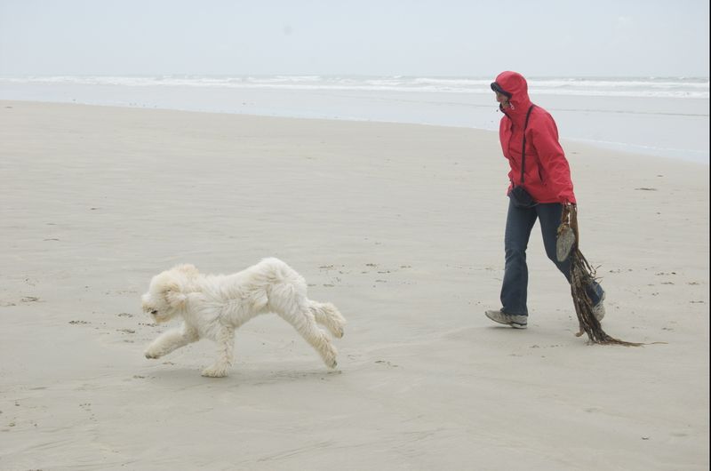 photo DSC_0314izm.jpg