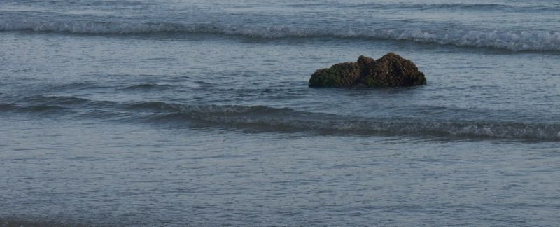 photo IMG_3849izm.jpg