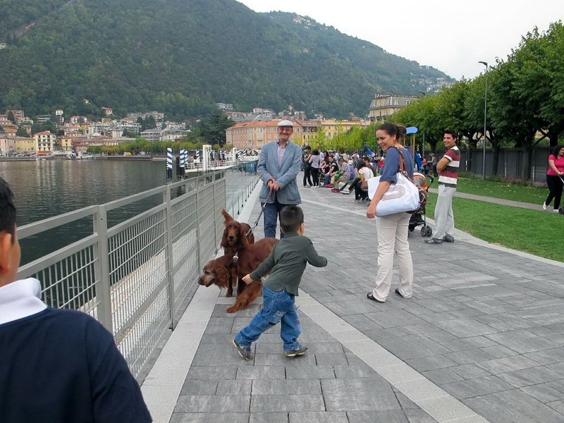 photo IMG_1261izm.jpg