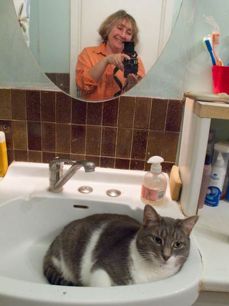 Photobucket