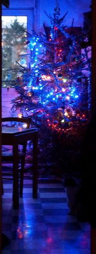 photo DSC00460izm.jpg