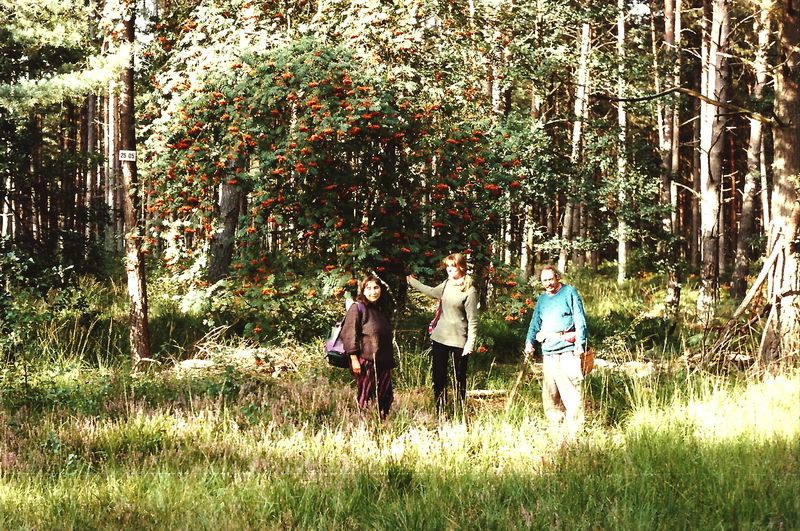 photo lesRambouillet19921izm.jpg