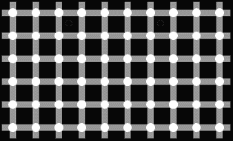 Random Pix : Squares