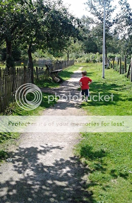 50b84032-afd1-4931-8fac-a19e6ba844d2_zps6e37c3d4.jpg?t=1406645414