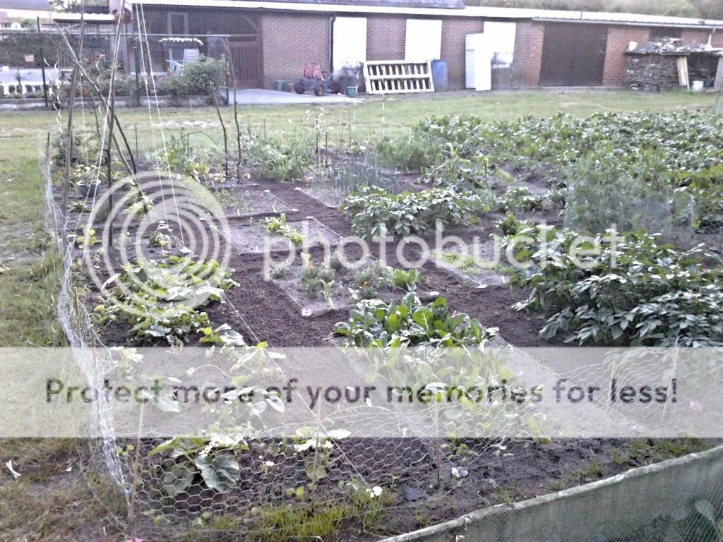 6ce4dc8f-f3cf-475e-8f67-f863f383b90d_zpsf7e0ea3c.jpg?t=1403037031