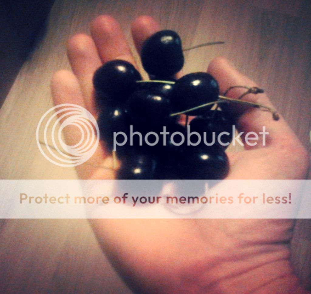 97215a87-80f5-4d45-ac52-1a873bf232f1_zps5a327a11.jpg?t=1404327723