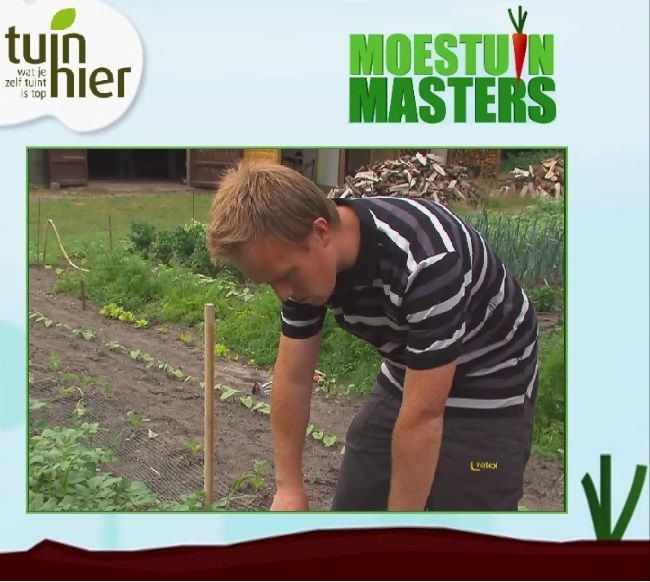 aardappelen.png_zpstpydbkkv.jpeg