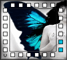 +Animated Avatars 1-50 Butterflywings