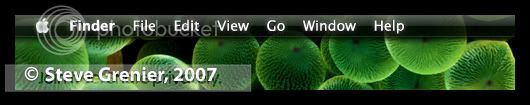 Theme_Teaser.jpg