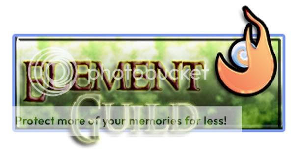 The Element Guild banner