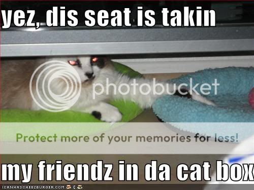 Daily LOLCats! :D 128286840274617903yezdisseatis1
