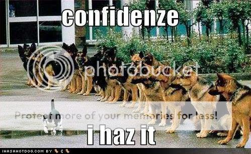 Daily LOLCats! :D Funny-dog-pictures-confidence