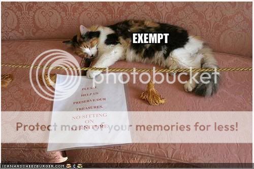 Daily LOLCats! :D Funny-pictures-cat-is-exempt-from-m