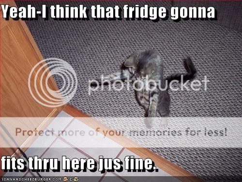 Daily LOLCats! :D Funny-pictures-cat-plans-fridge-pla