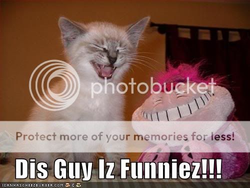 Daily LOLCats! :D Funny-pictures-kitten-and-stuffed-a