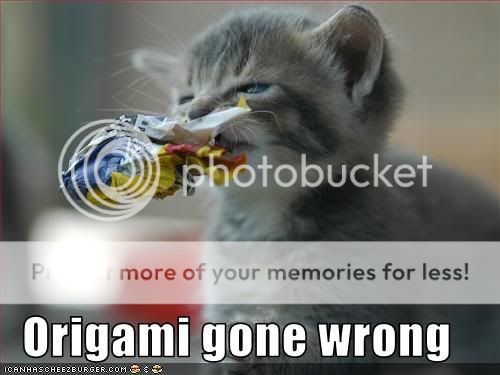 Daily LOLCats! :D Funny-pictures-kitten-makes-origami