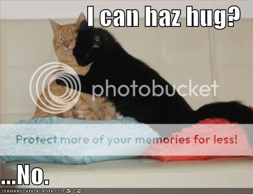 Daily LOLCats! :D Funny-pictures-one-cat-wants-a-hug-
