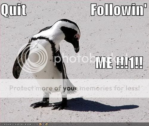 Daily LOLCats! :D Funny-pictures-penguin-tells-shadow