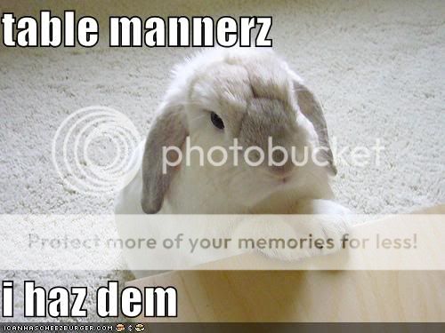 Daily LOLCats! :D Funny-pictures-rabbit-has-good-tabl