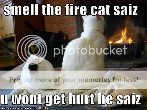 Daily LOLCats! :D Funny-pictures-rabbit-listened-to-c