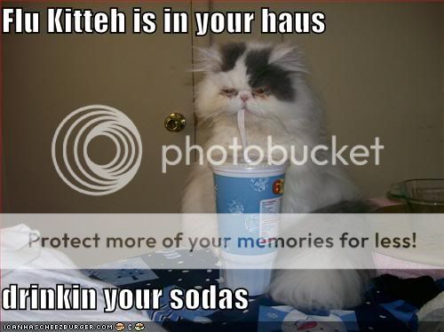 Daily LOLCats! :D Funny-pictures-sick-cat-drinks-soda