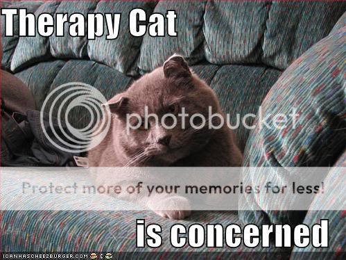 Daily LOLCats! :D Funny-pictures-therapy-cat