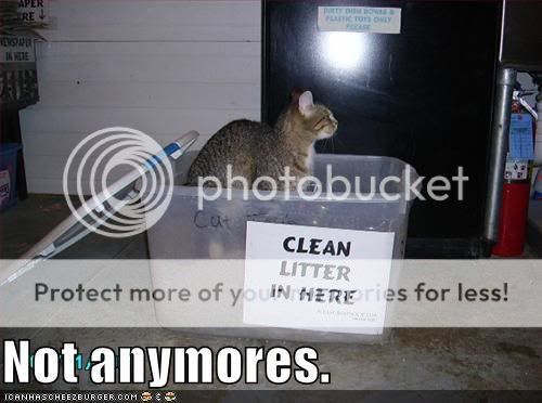 Daily LOLCats! :D Funny-pictures-there-is-no-longer-c