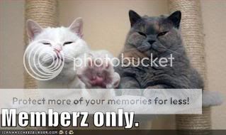Daily LOLCats! :D Funny-pictures-you-are-not-allowed-