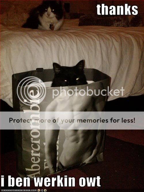 Daily LOLCats! :D Funny-pictures-your-cat-has-been-wo