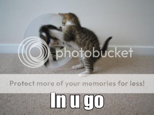 Daily LOLCats! :D In-u-go