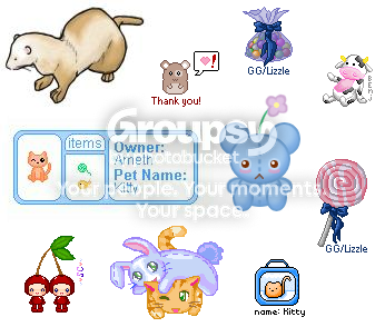 User Image