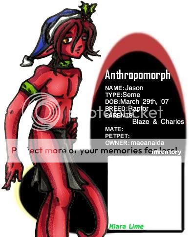 User Image