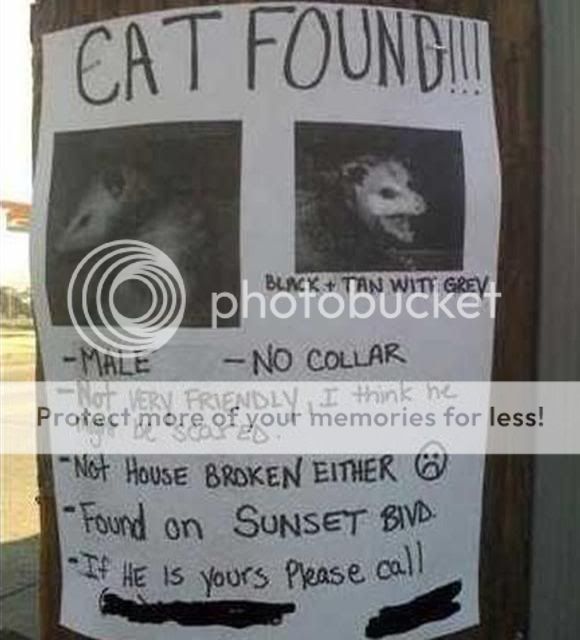 Post Cats!!! Foundcat