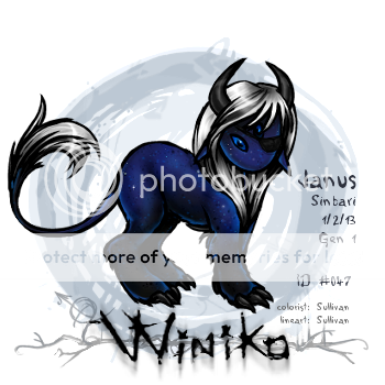User Image