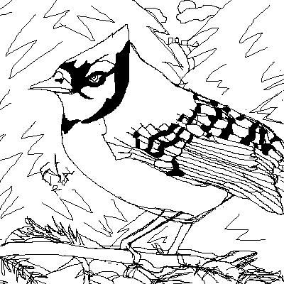 [PokeCommunity.com] FreeNatureArt's Latest Gallerie