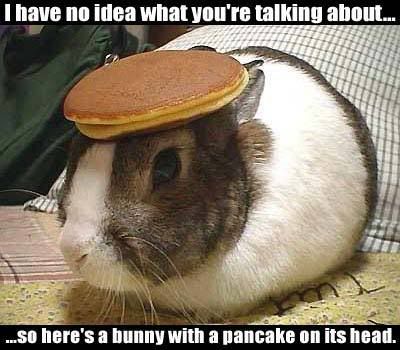 BunnyPancake1.jpg