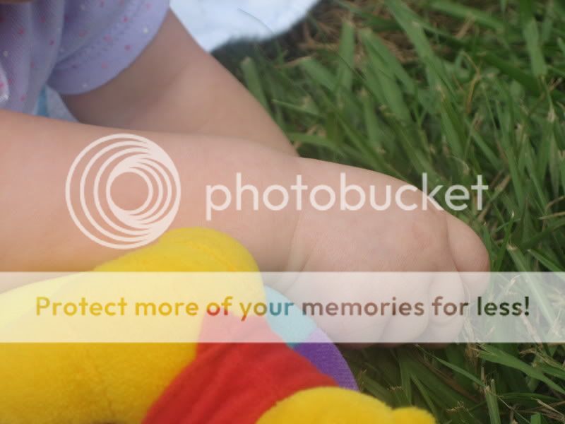 Photobucket - Video and Image Hosting