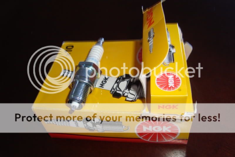 12 x Spark Plug NGK "1step Colder" Spark Plugs (BPR8ES)
