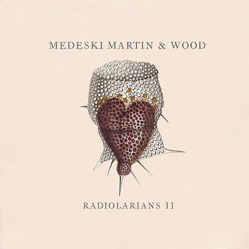 MMW-RadiolariansII.jpg