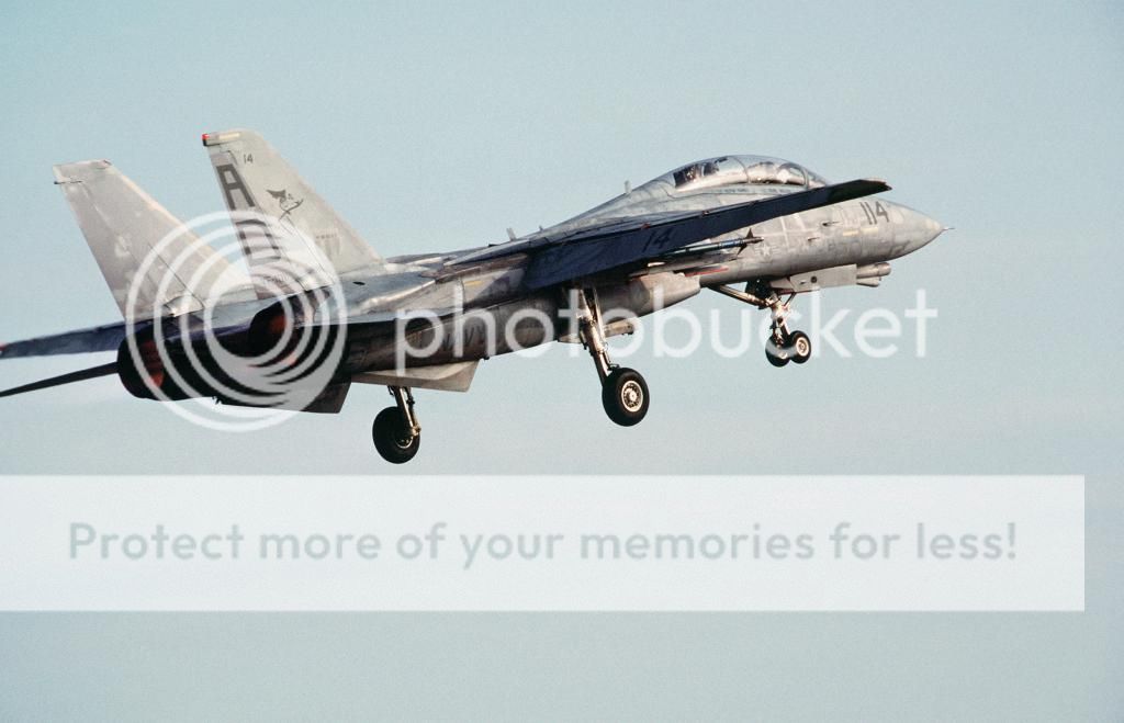F&V: Grumman F-14 Tomcat - Página 5 F-14_Tomcat_with_landing_gear_down